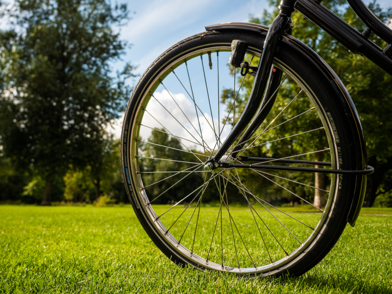 BCA veilt ook elektrische fietsen en licht gemotoriseerde voertuigen