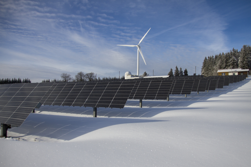 Aantal zonne-energiebedrijven door het dak: stijging van 19%