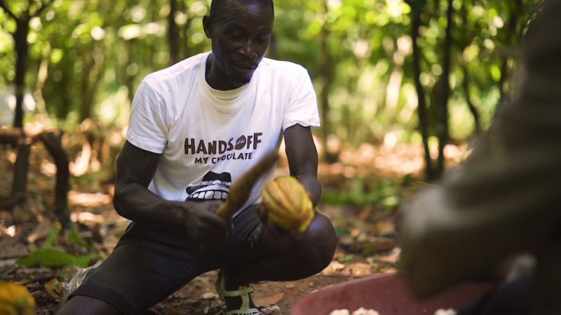 Hands Off My Chocolate eerste wereldwijde Cocoa Horizons-merk dat overstapt op traceerbare cacaomassa