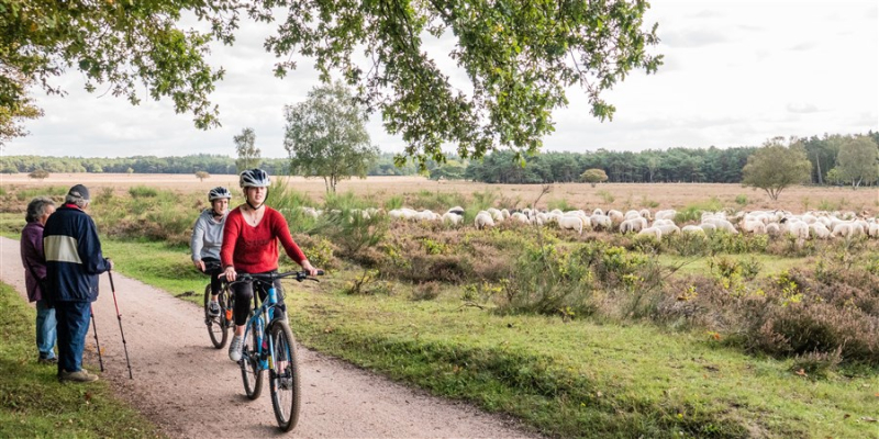 10 procent van Nederlands fietsnetwerk loopt door de natuur