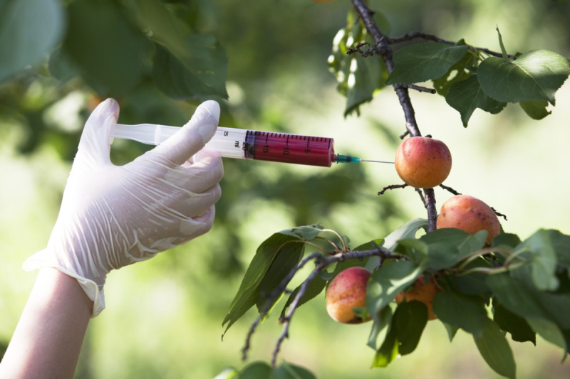 Startupbootcamp start FoodTech-programma 