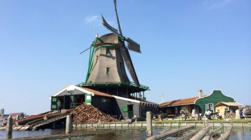 Verantwoord hout zagen in de Zaanstreek