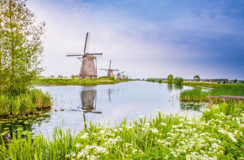 Kom in actie voor een klimaatneutraal Nederland