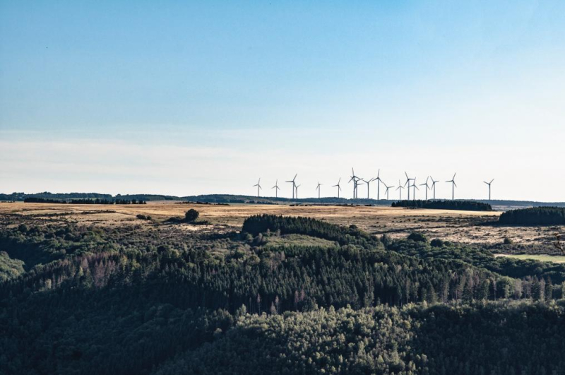 Duurzame bedrijven bouwen in de wereld na COVID-19