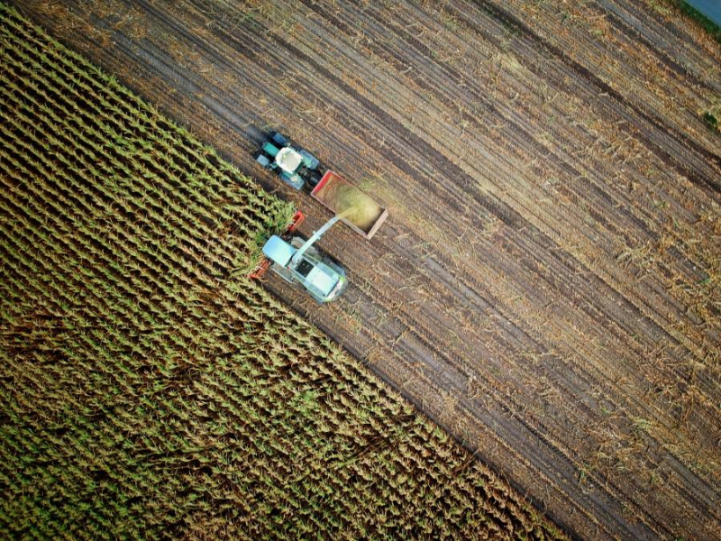 Noodpakket voor bloementelers en aardappelboeren: hulp voor de landbouw