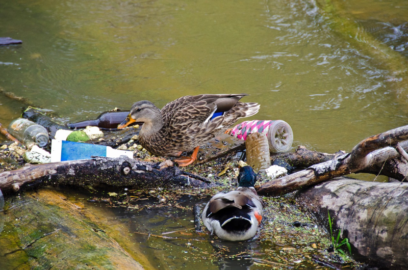 Hoe pakken deze 10 ondernemers het plastic afval aan?