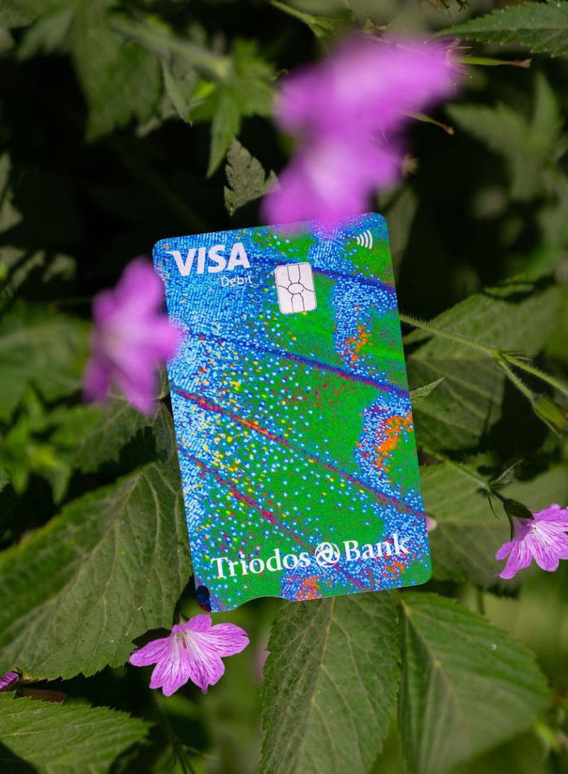 Triodos Bank introduceert Visa Debit bij Nederlandse klanten 